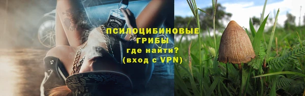 apvp Медвежьегорск