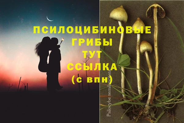 apvp Медвежьегорск