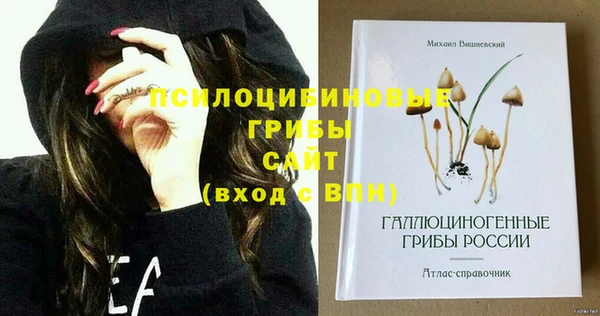 винт Мегион
