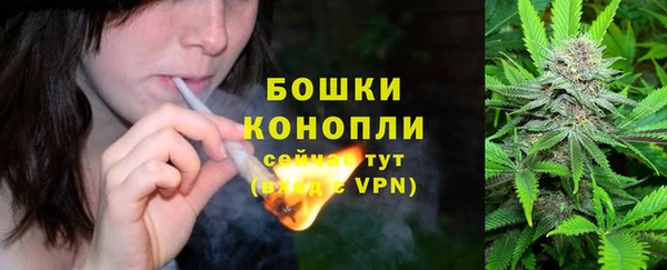 винт Мегион