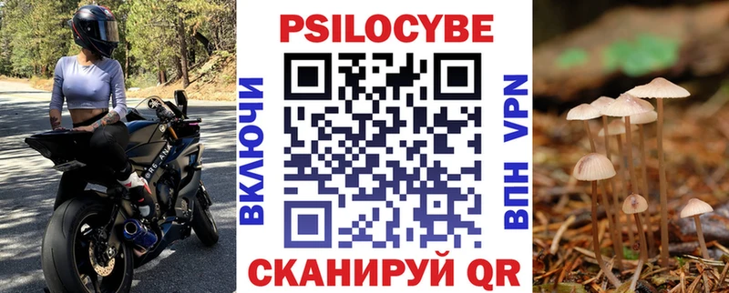 как найти закладки  Дрезна  Галлюциногенные грибы прущие грибы 
